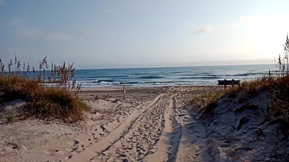 False Cape State Park