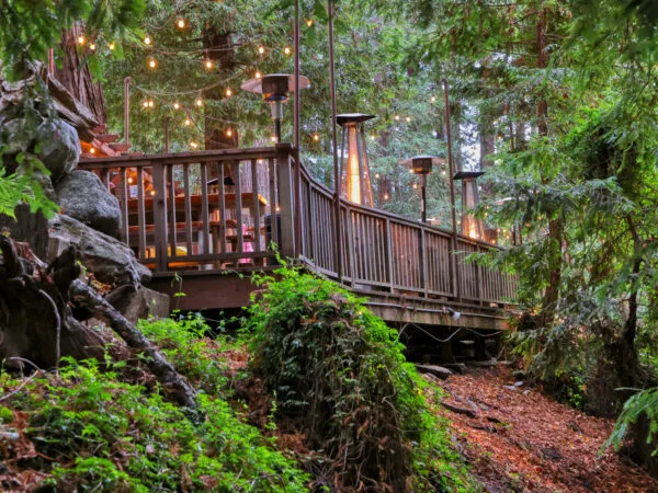 Fernwood Resort and Campground