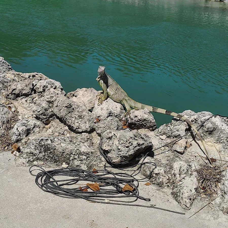 Fiesta Key RV Resort and Marina