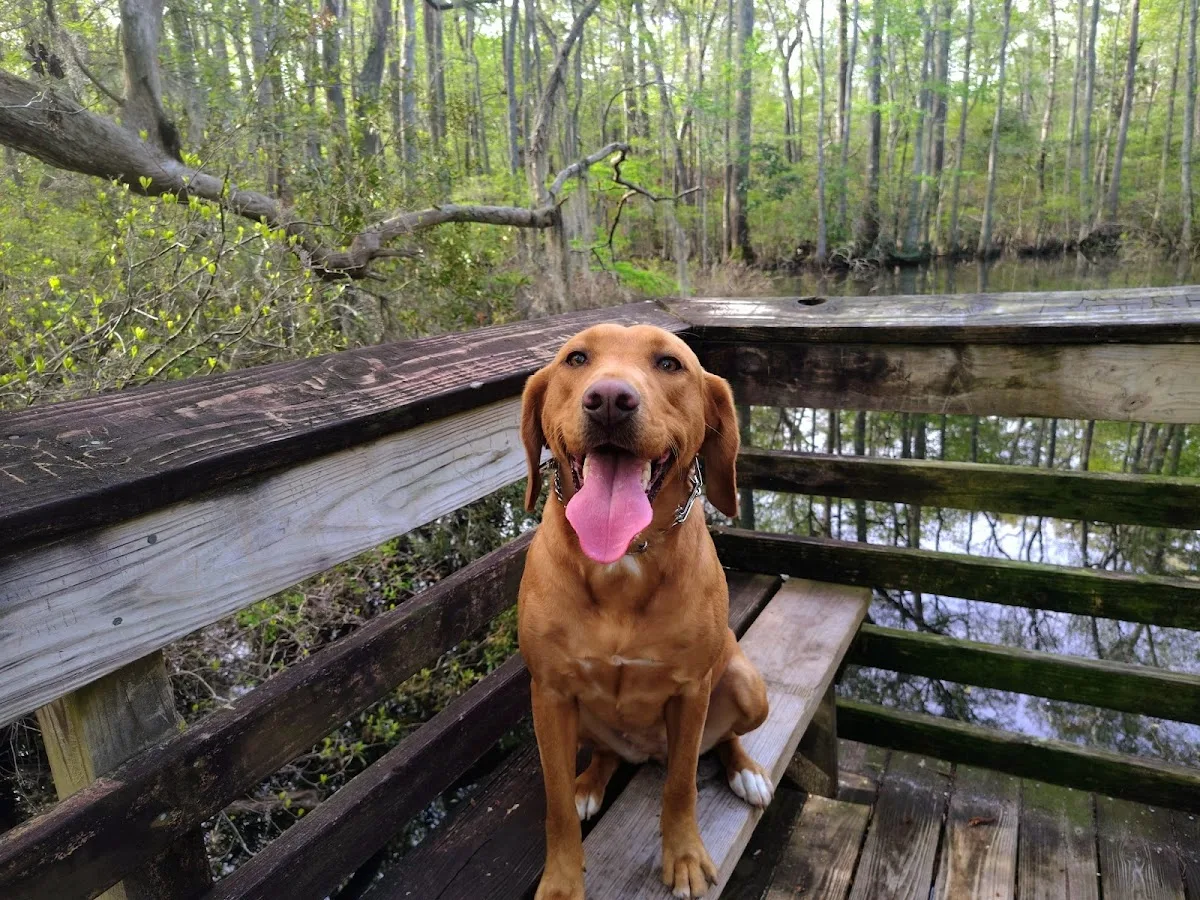 First Landing State Park