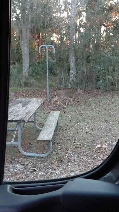 Fort McAllister Campground