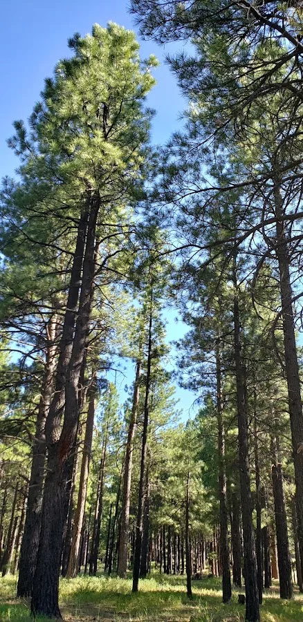 Fort Tuthill Luke AFB Recreation Area