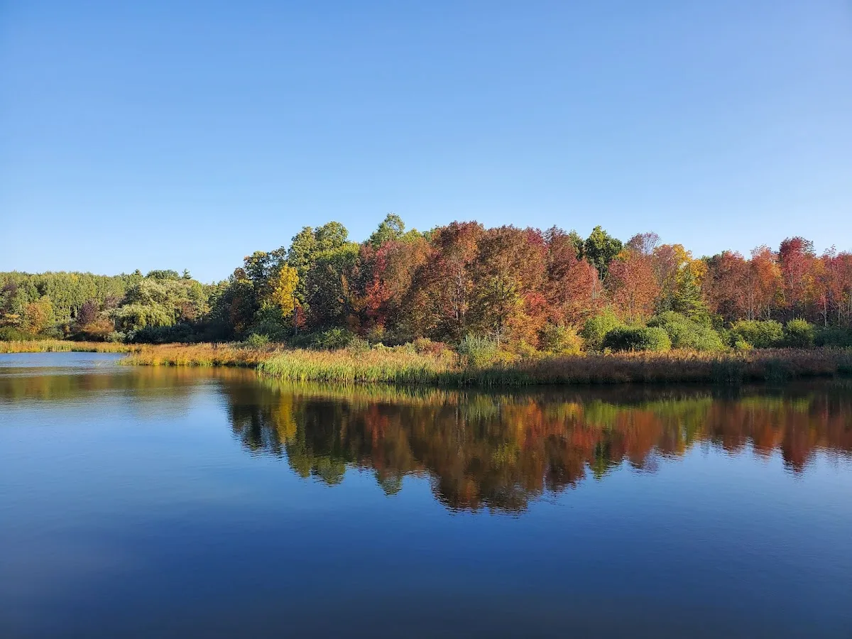 Foster pond camping area