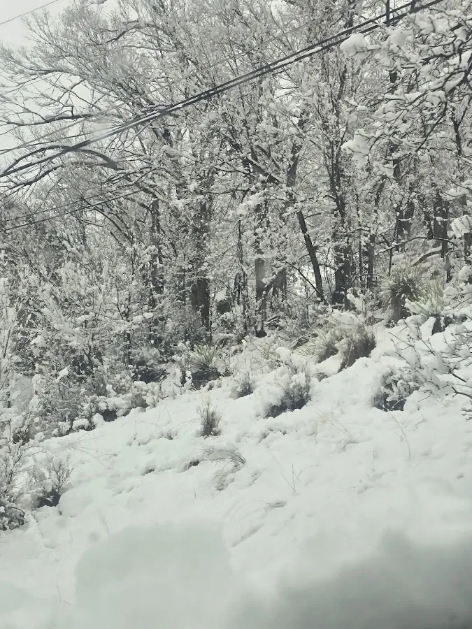 Garden of the Gods RV Resort