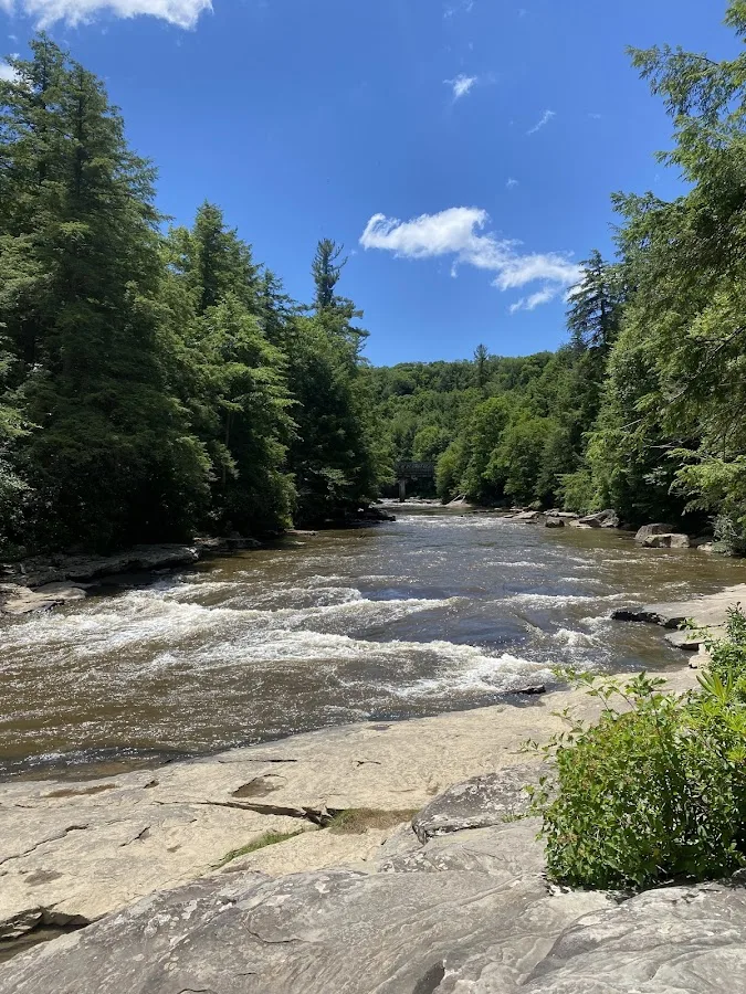 Garrett State Forest