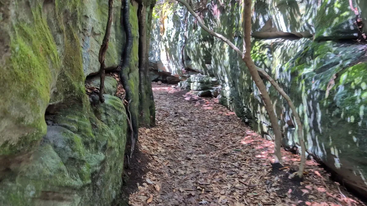 Garrett State Forest