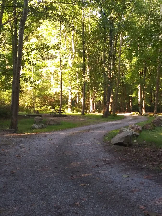 Glade Creek Campground