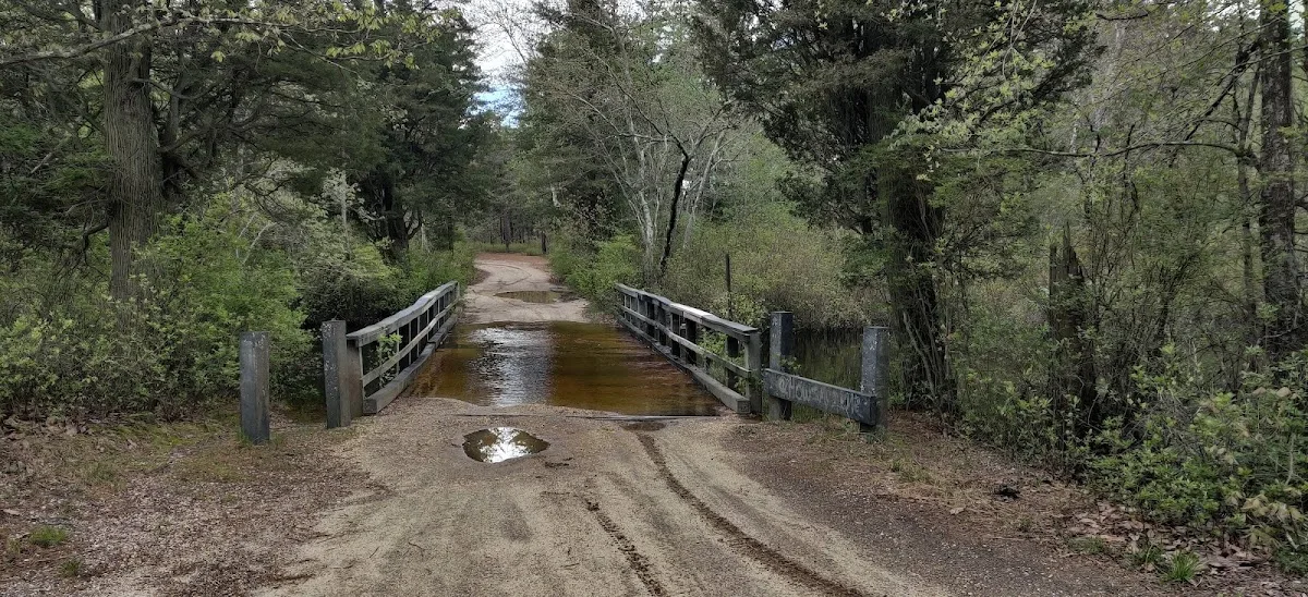 Goshen Pond Camping Area