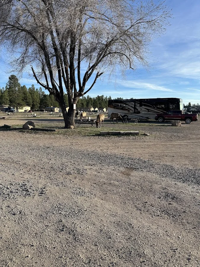 Grand Canyon Camper Village