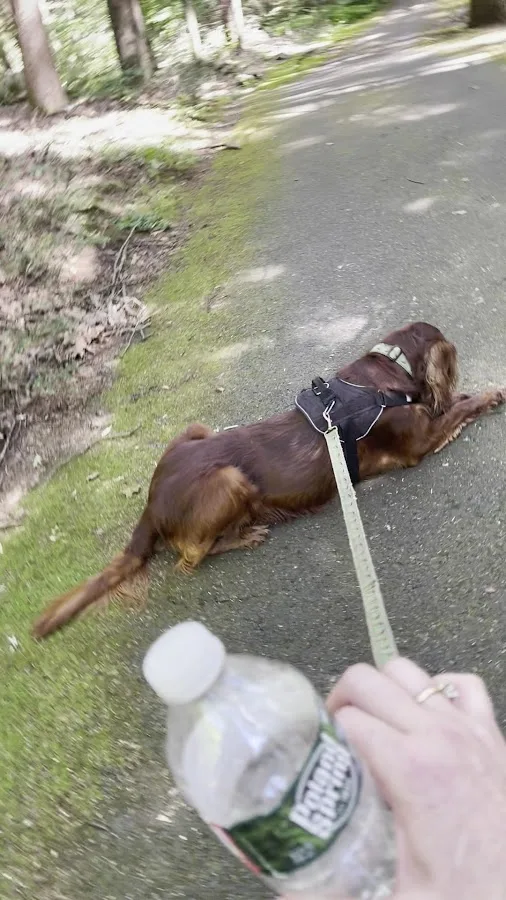 Granville State Forest