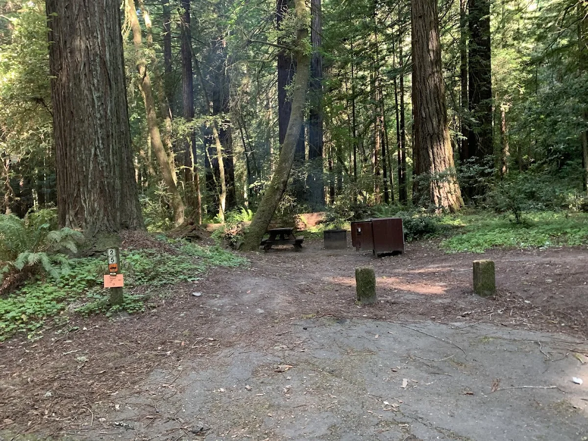 Grizzly Creek Redwoods State Park