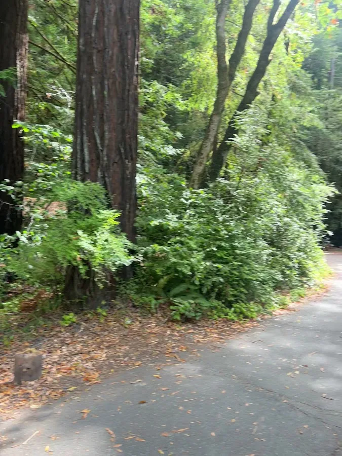 Grizzly Creek Redwoods State Park