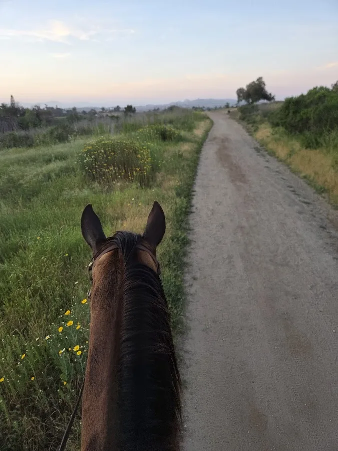 Guajome Regional Park