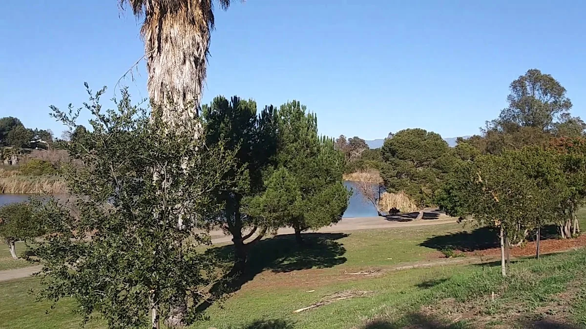 Guajome Regional Park