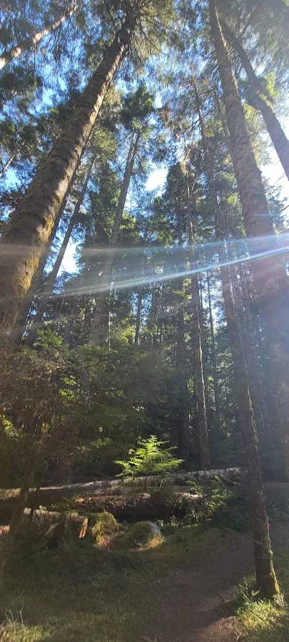 Heart O' the Hills Campground