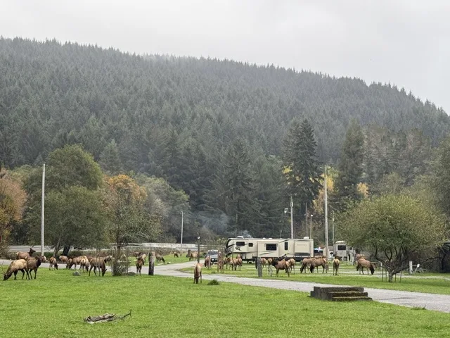 Heart of the Redwoods Cottages & RV