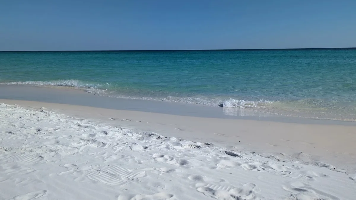 Henderson Beach State Park