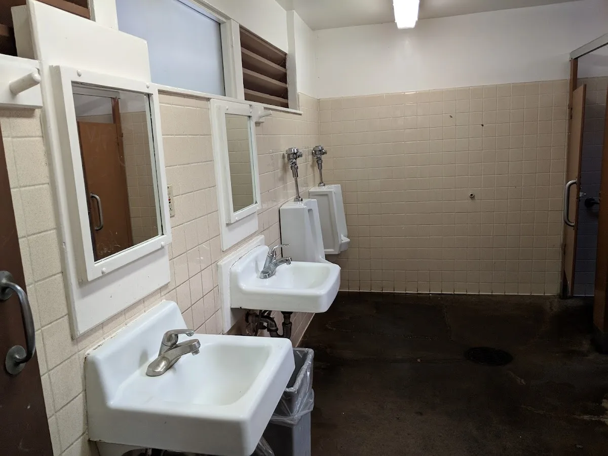 Henry Cowell Redwoods State Park Campground