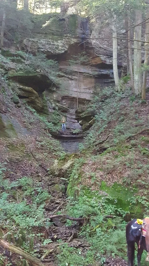 Hocking State Forest Horseman's Camp