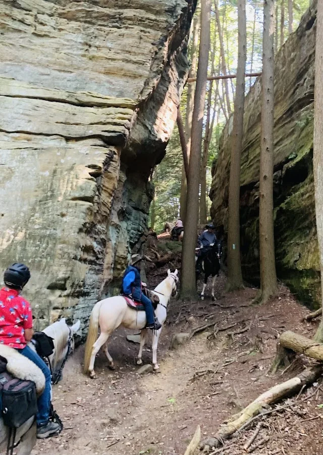 Hocking State Forest Horseman's Camp