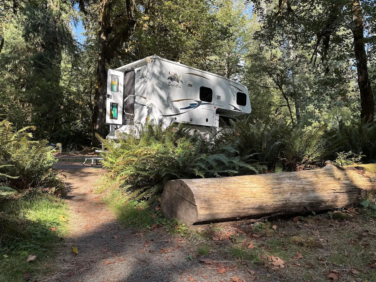 Hoh Rain Forest Campground