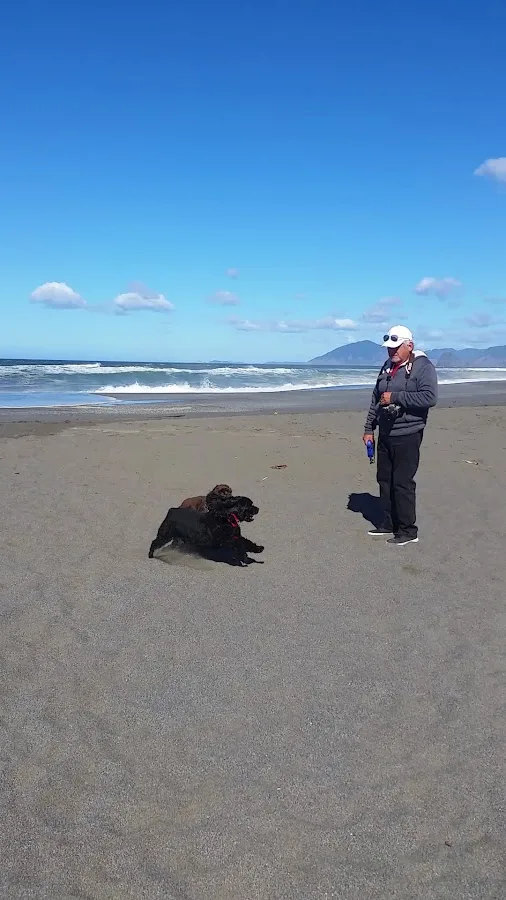 Honey Bear by the Sea RV Resort and Campground