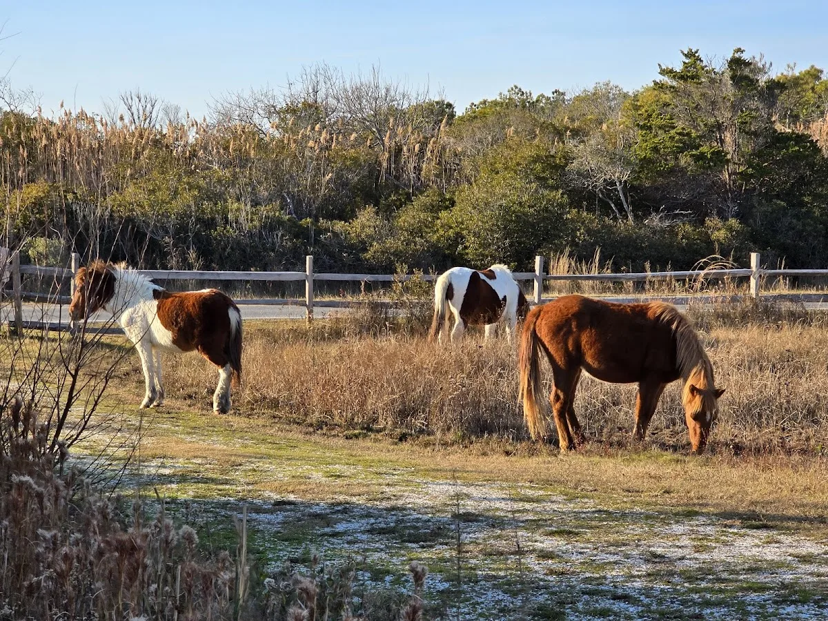 Horse Campground Reservation