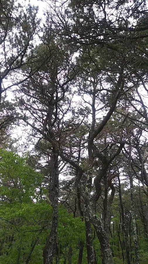 Horton's Camping Resort