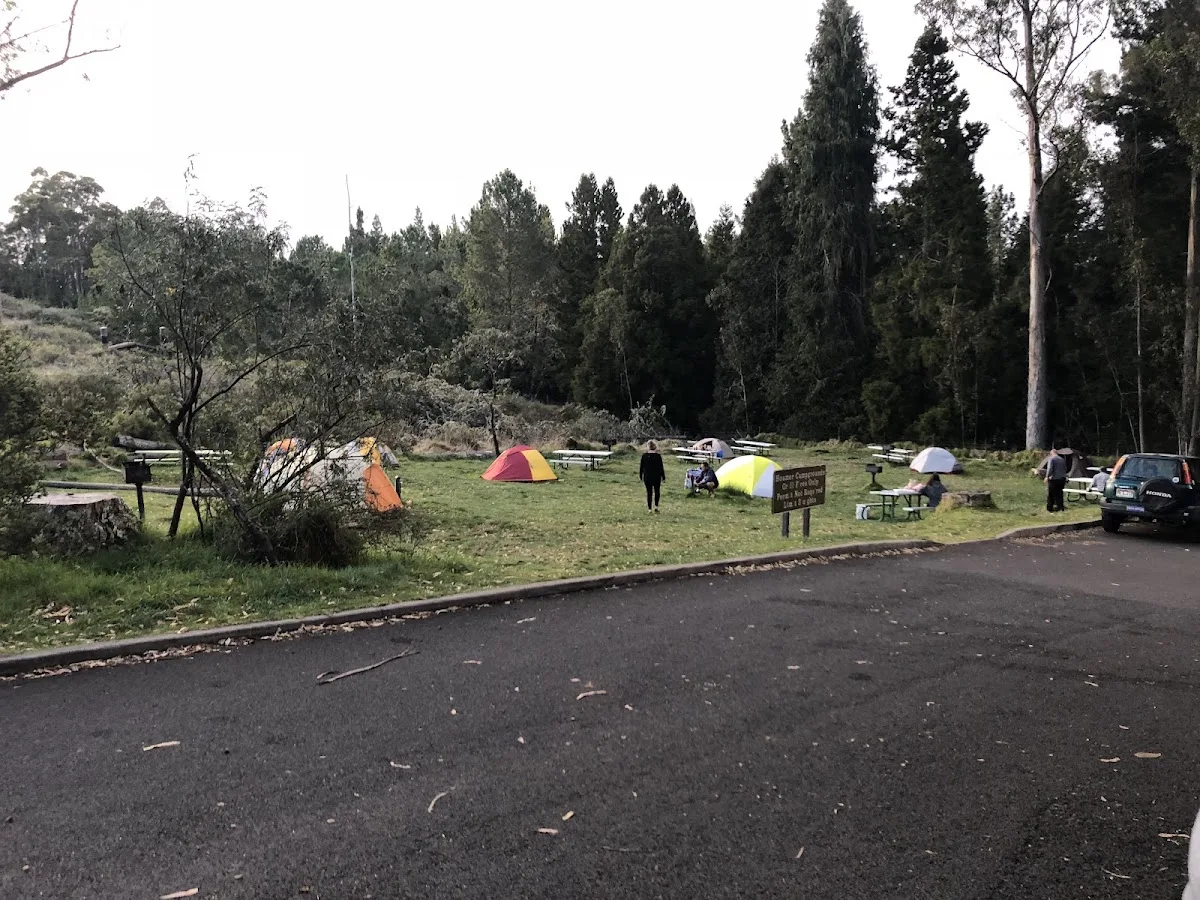 Hosmer Grove Campground