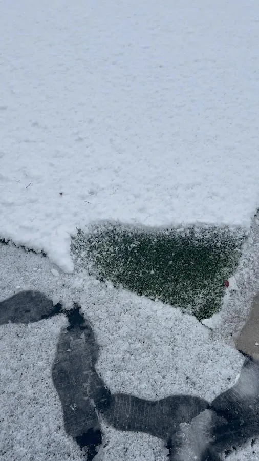 Hot Rod Hill RV Park