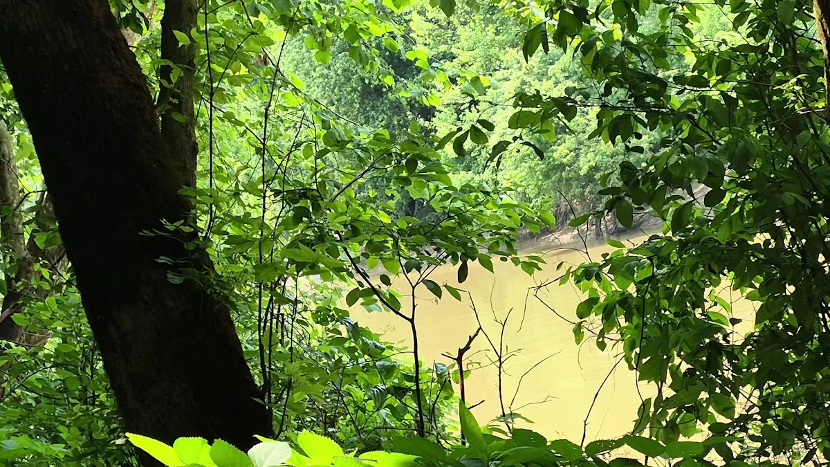 Houchin Ferry Campground