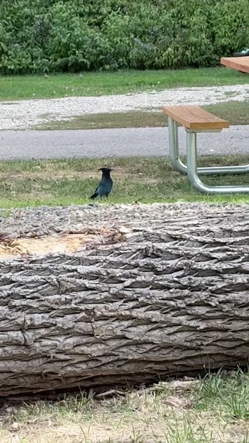 HTR Durango Campground