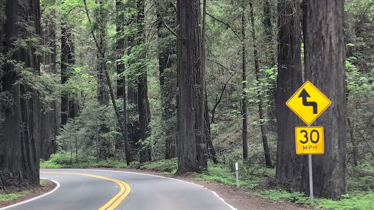 Humboldt Redwoods State Park