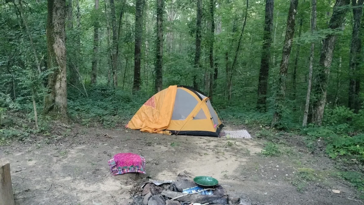 Hunter check station campground