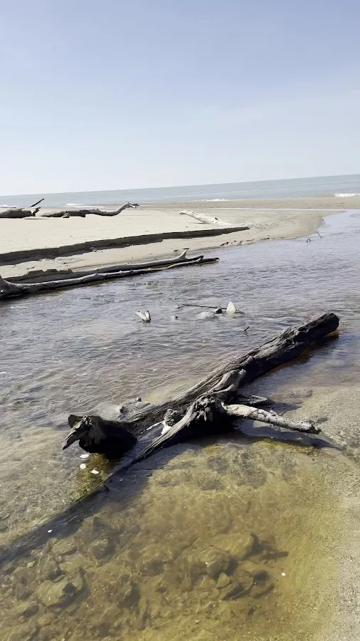 Indiana Dunes National Park Mount Baldy