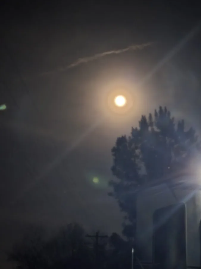 Jellystone Park™ Mammoth Cave