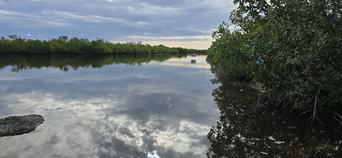 John Pennekamp Camp Area