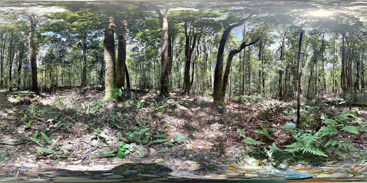 Kalōpā State Recreation Area