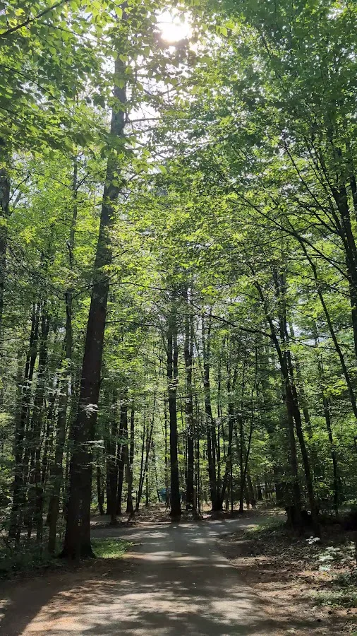 Kenneth L. Wilson Campground