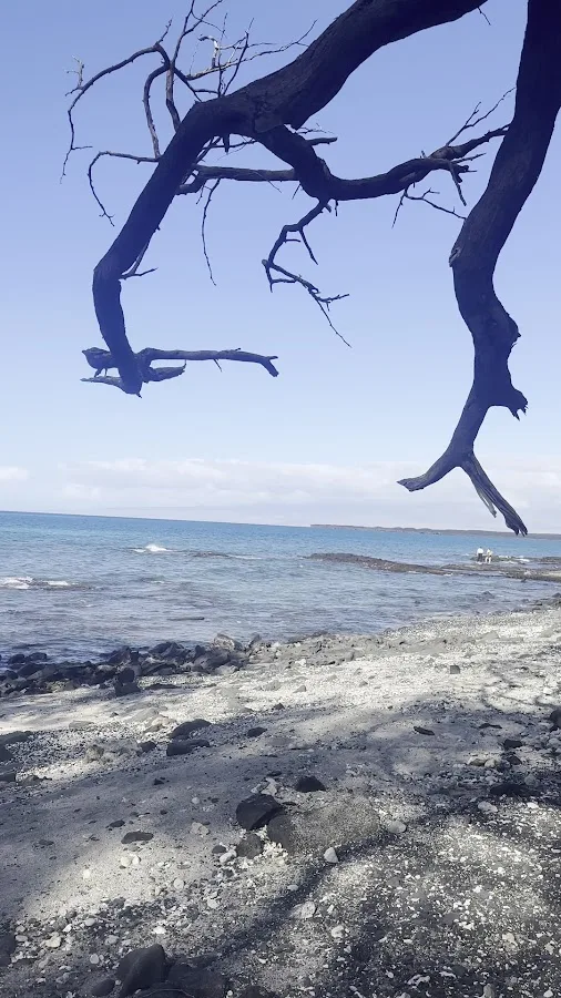 Kīholo State Park Reserve