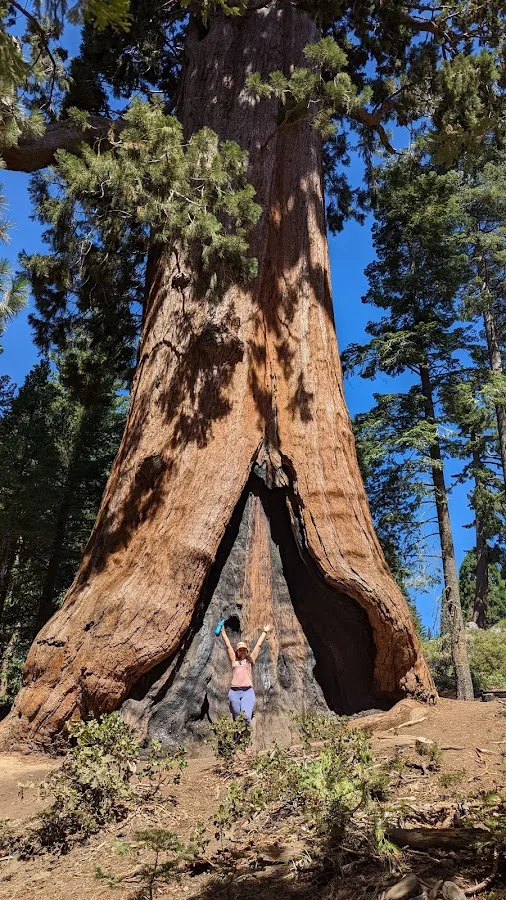 King's Canyon National Park Azalea Campground