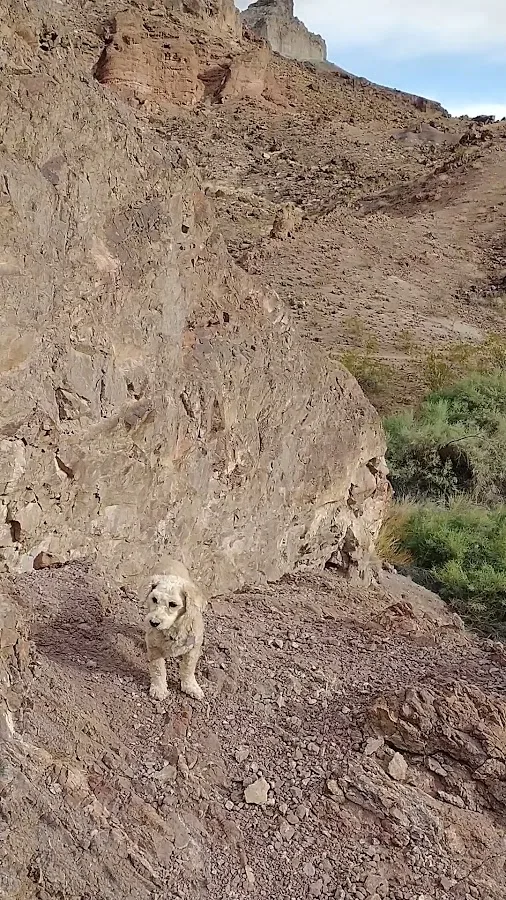 Kingman Wash Lake Mead National Recreation