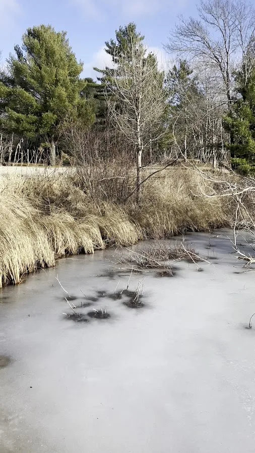 Kingston Lake Campground