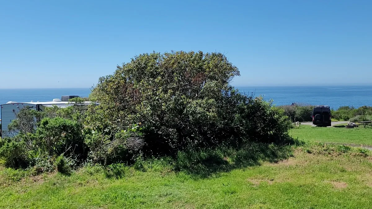 Kirk Creek Campground