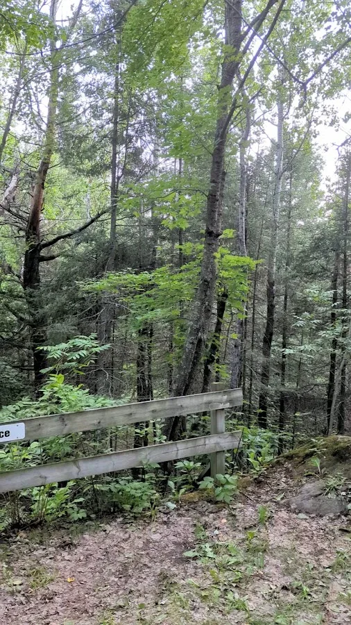 Knife Island Campground