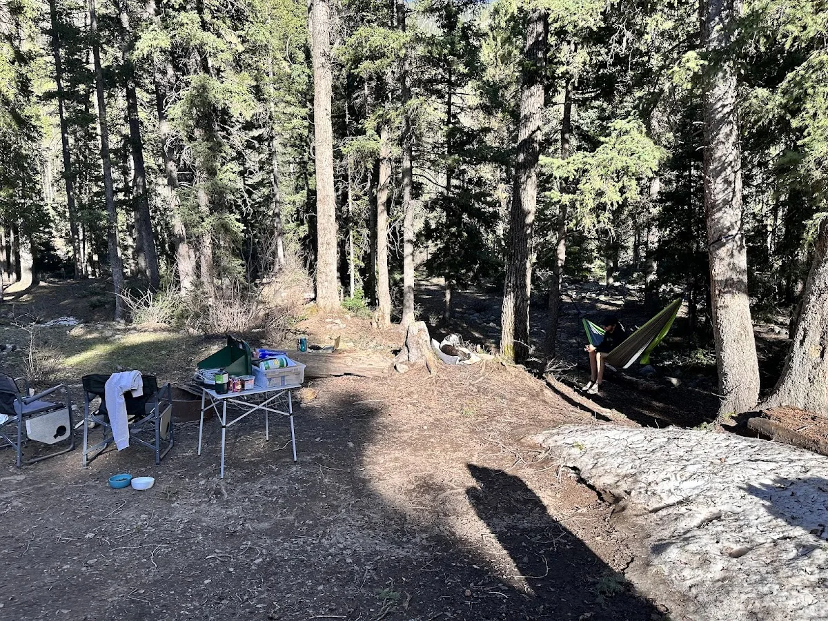 La Plata City Campsite