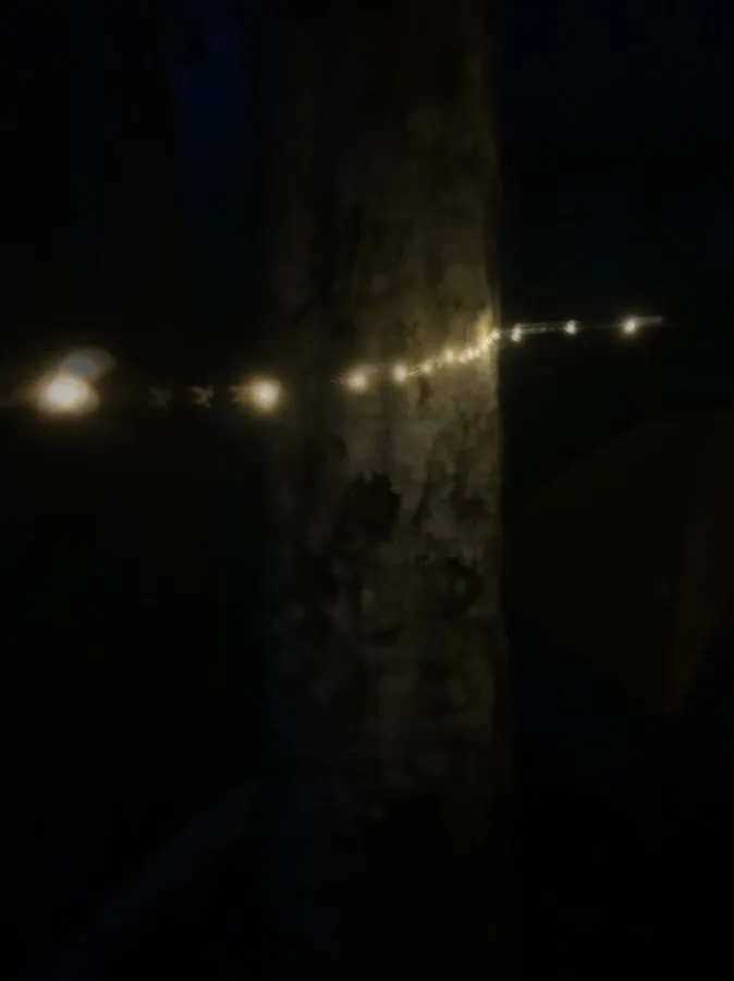 Lake Angeles Campground