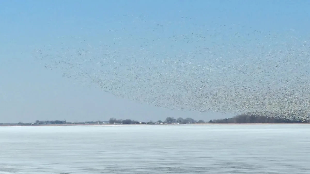 Lake North Campground