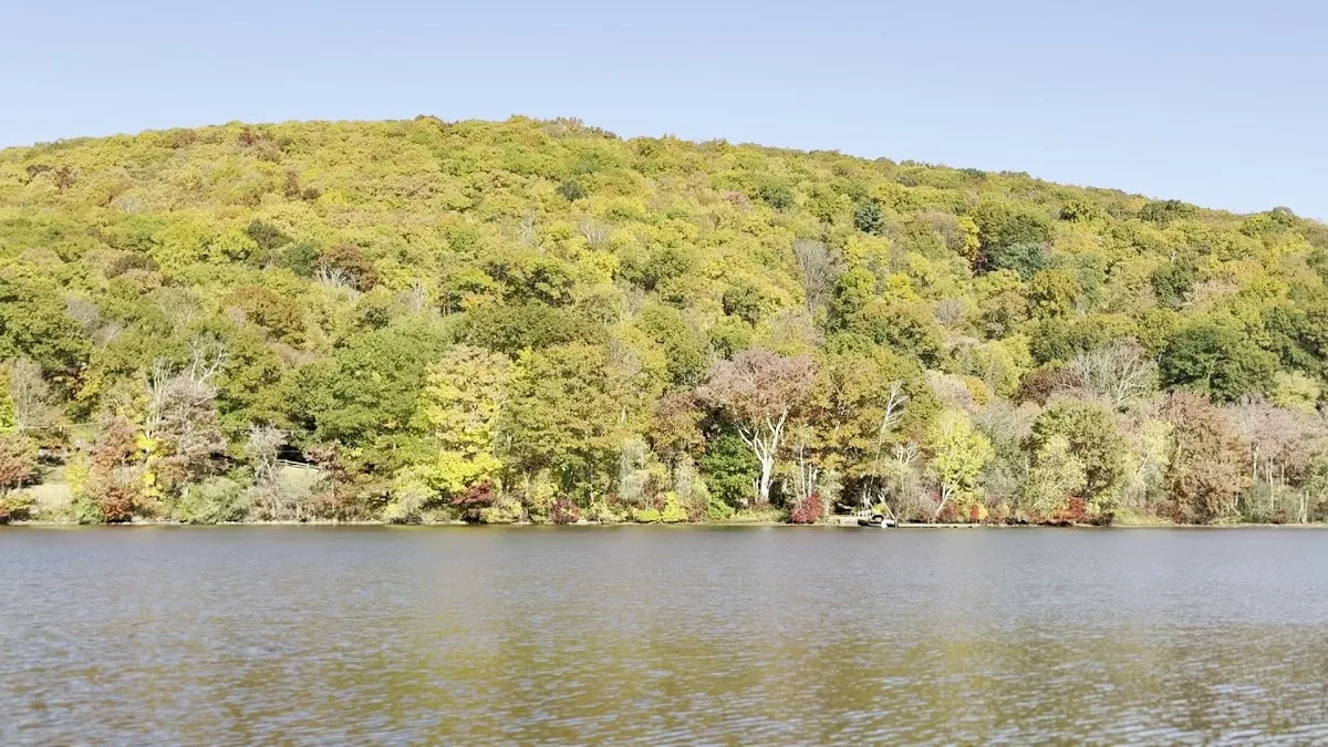 Lake Waramaug State Park Campground