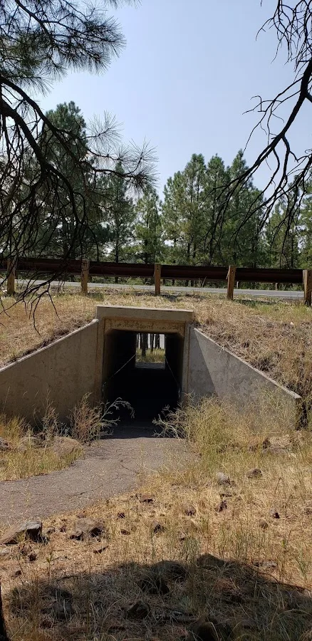 Lakeview campground view point